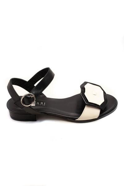 Gallery a02535 ebrqofyg