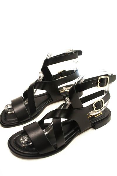 Gallery a02671 rghal0r1