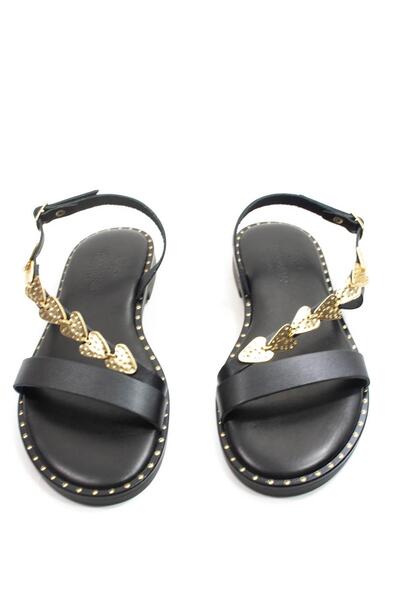 Gallery a02684 pjm8usic