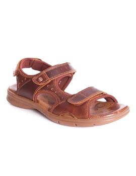 Sandalias Panama Jack Salton Explorer C1 cuero