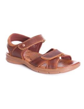 Sandalias Panama Jack Sander Explorer C1 cuero