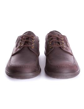 Zapato Panama Jack Kristian Gtx C4 marron